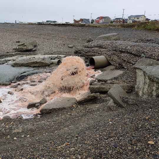 20190318_094912_resized