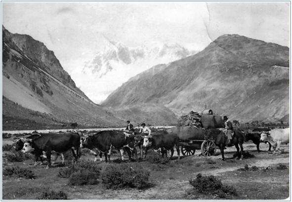 Zona-del-valle-del-Rio-Oro-aprox.-Anos-50