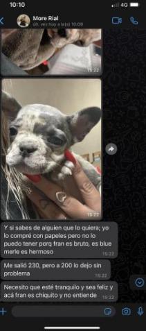 WhatsApp Image 2023-07-01 at 20.38.18