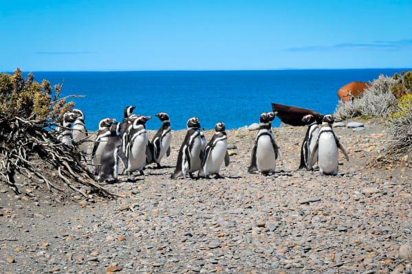 WhatsApp Image 2023-01-19 at 16.58.41