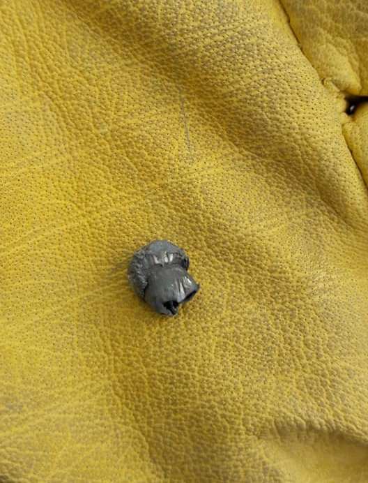 51499401_226419301646720_5606171741467443200_n