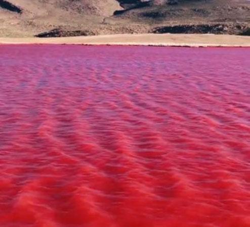 sangre-en-el-nilo-el-rio-se-tine-de-rojo-y-causa-conmocion-en-redes-sociales-video