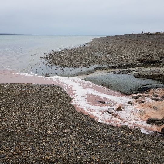 20190318_094918_resized