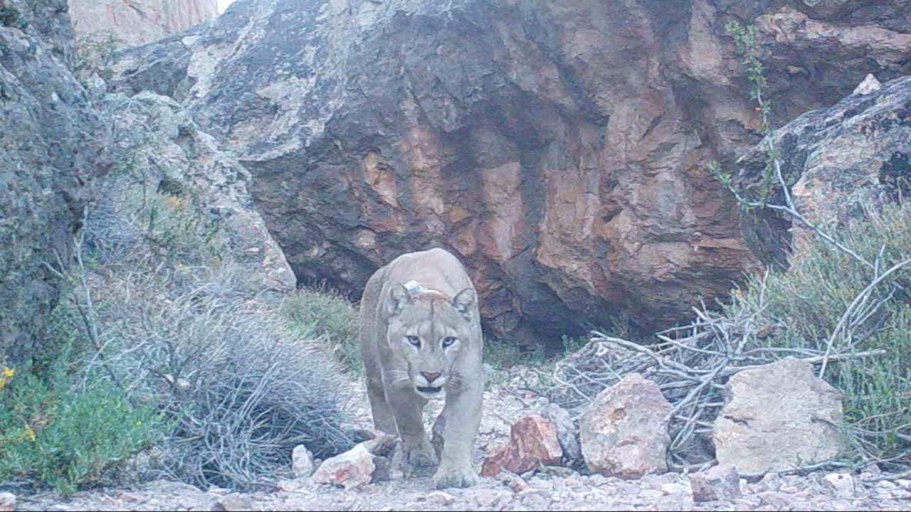 photo_2023-04-06_16-00-43 (1)