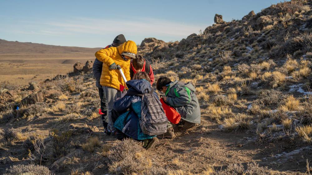 Pequeños Exploradores 01