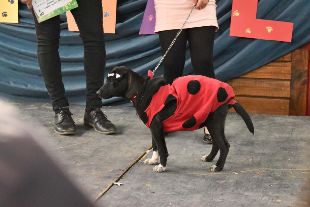 316543089_516334607192817_5702689075098067233_n