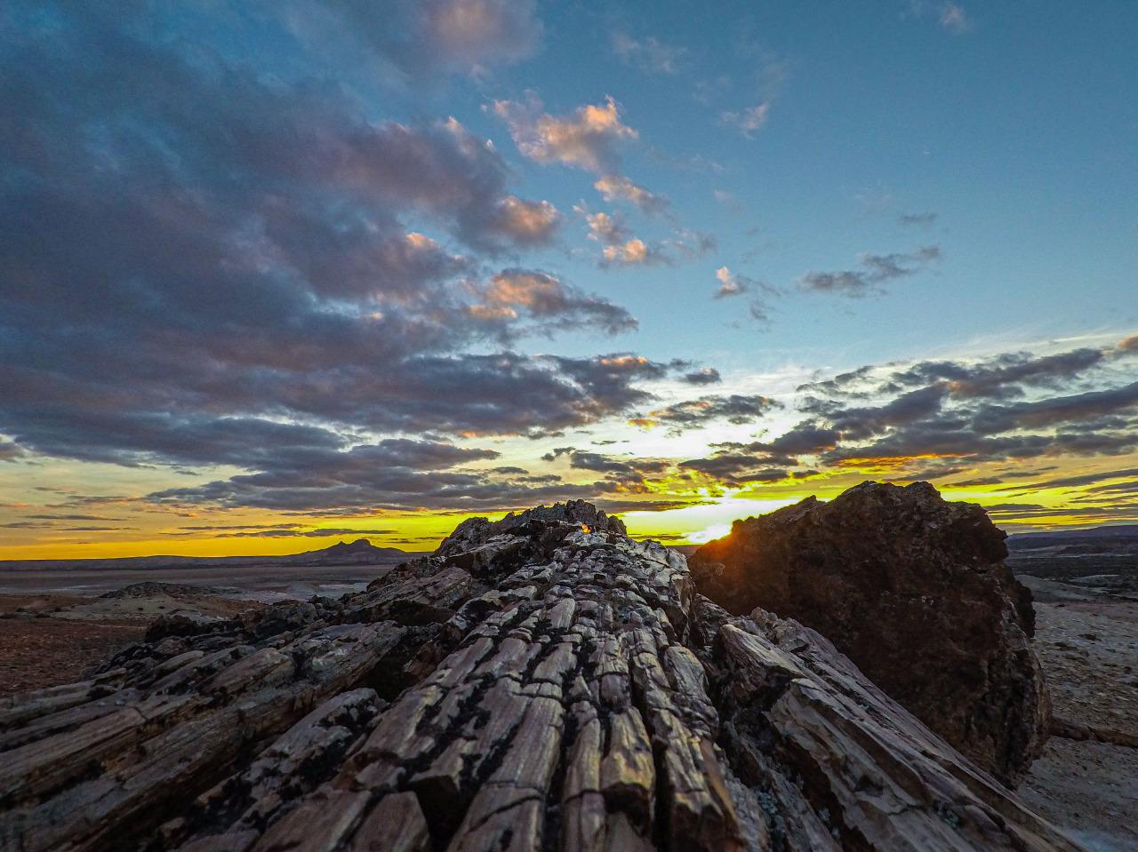 WhatsApp_Image_2022-08-17_at_7.18.53_PM_2