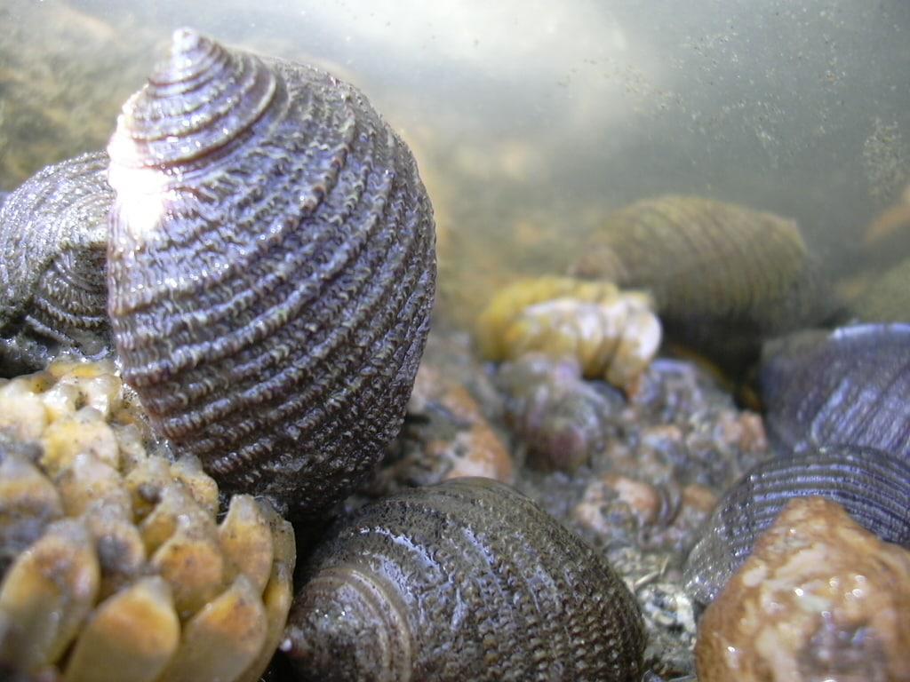 photo_2022-12-28_17-34-56