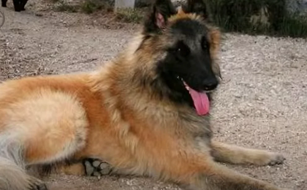 REPXOHBQKNAQLOFCDOY5XPRBEI