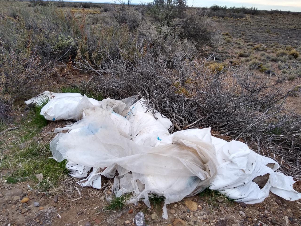 182760646_795167811140006_4631274832418711941_n