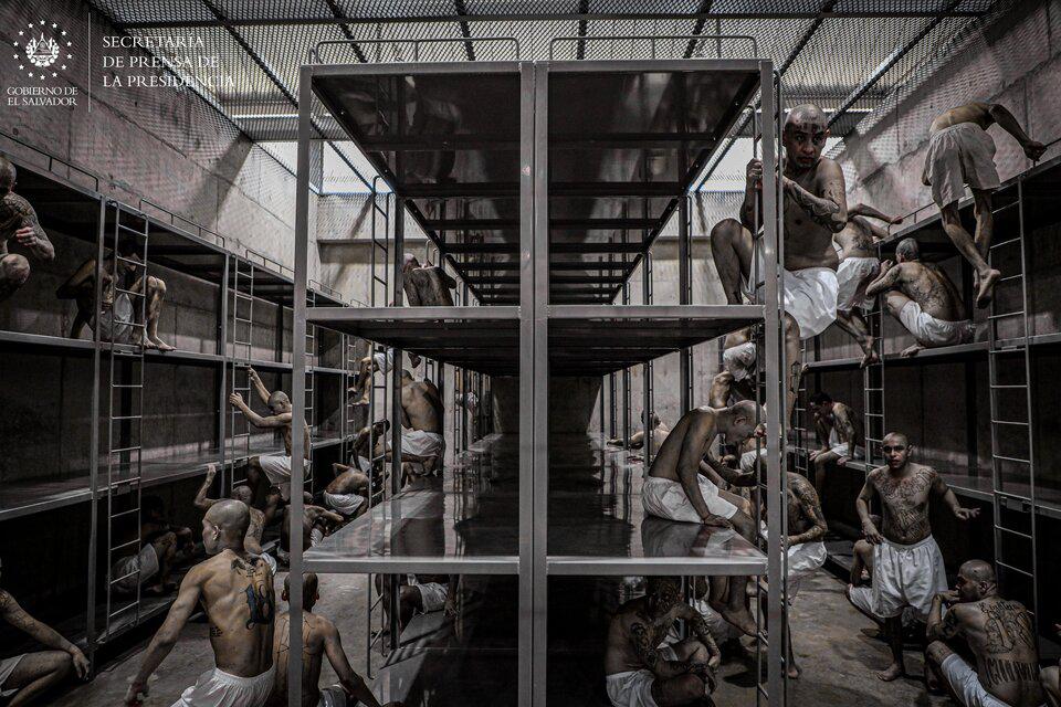 705477-333832430-1919249618406952-4723247734712973720-n