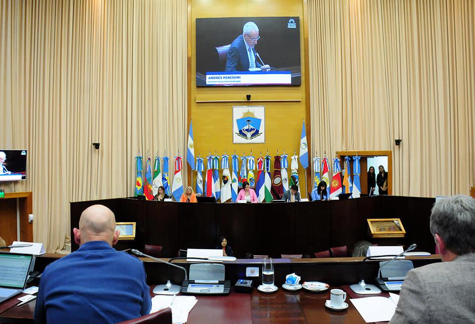 Foto 3 Oliva en sesió Comisión de Cambio Climático en Neuquén