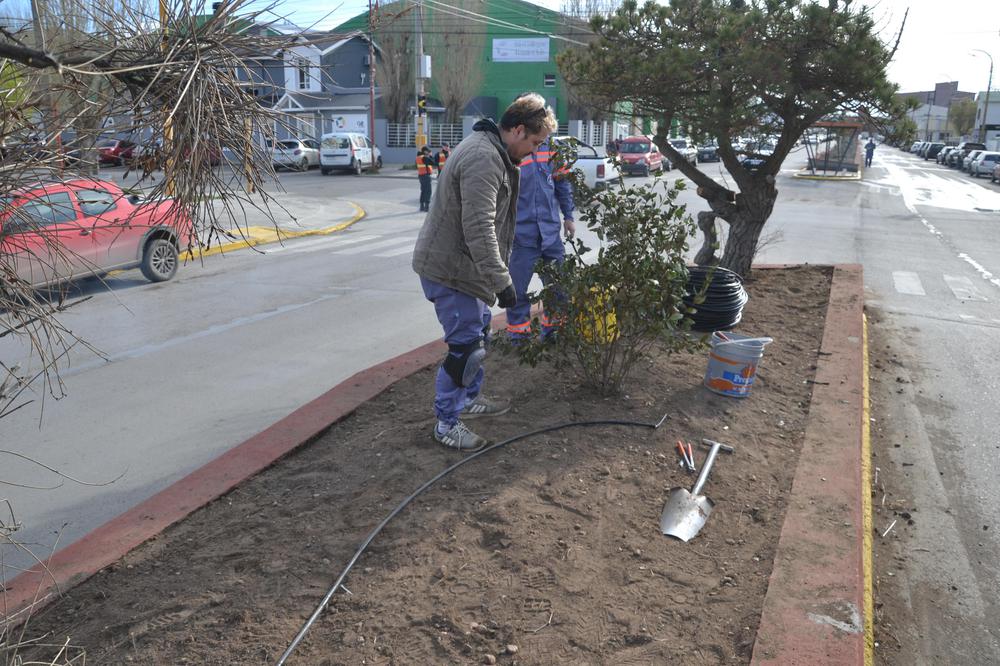 SOP_ESPACIOS VERDES_SAN MARTIN (1)