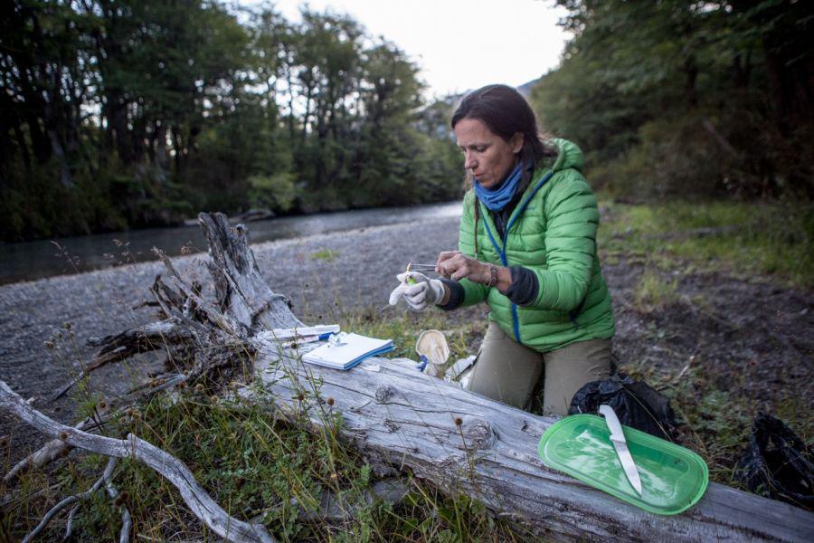 56ba4bba69ea7ef19fa35552eb80d800_XL