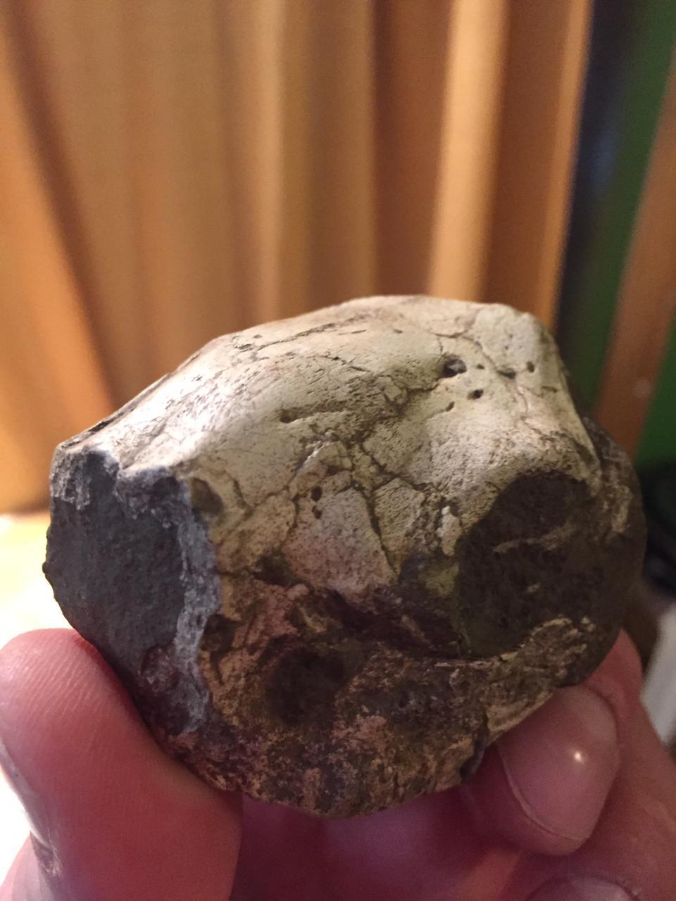 302593335_2125373477623239_8932104873265838608_n