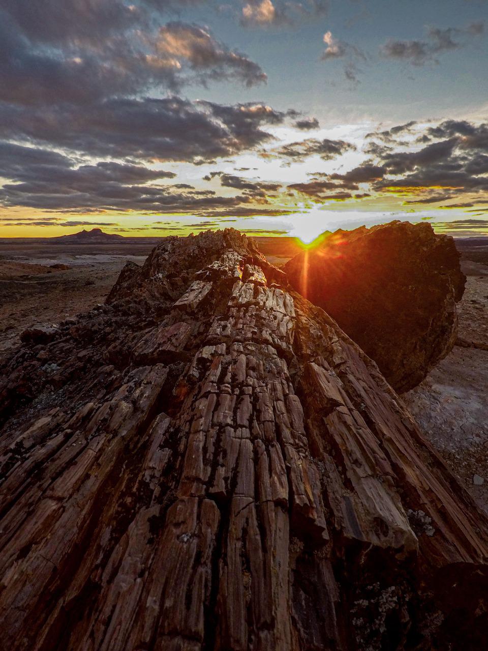 WhatsApp_Image_2022-08-17_at_7.18.53_PM_3