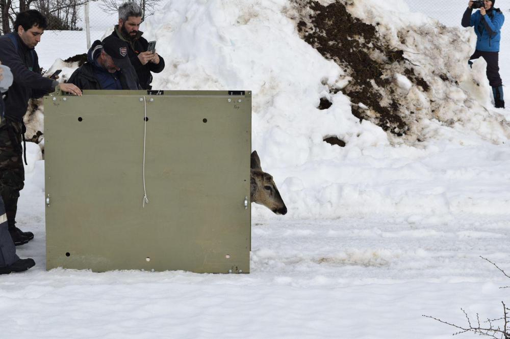 WhatsApp Image 2022-09-09 at 14.24.19