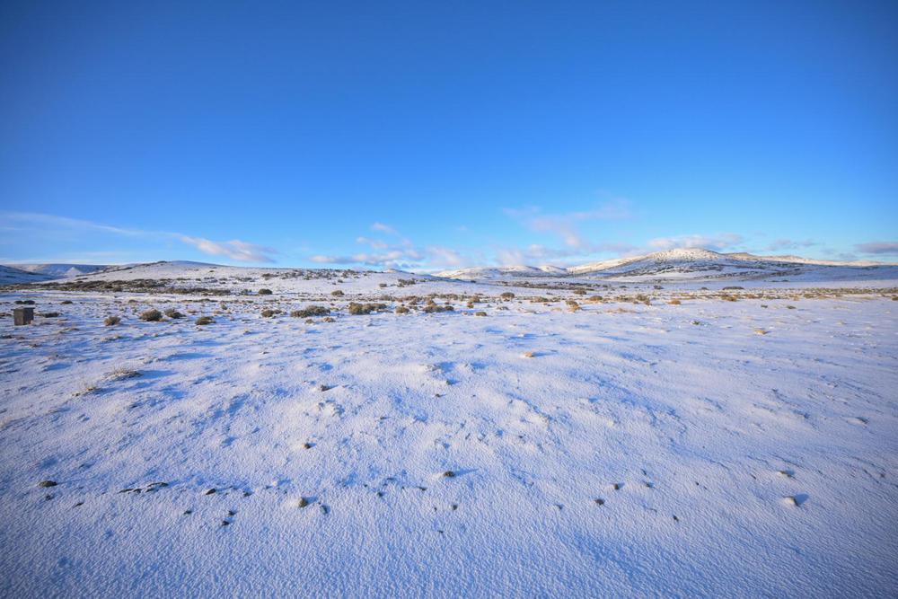 5 de junio_Día Mundial del Ambiente y el ciclo vital de la estepa patagónica 3