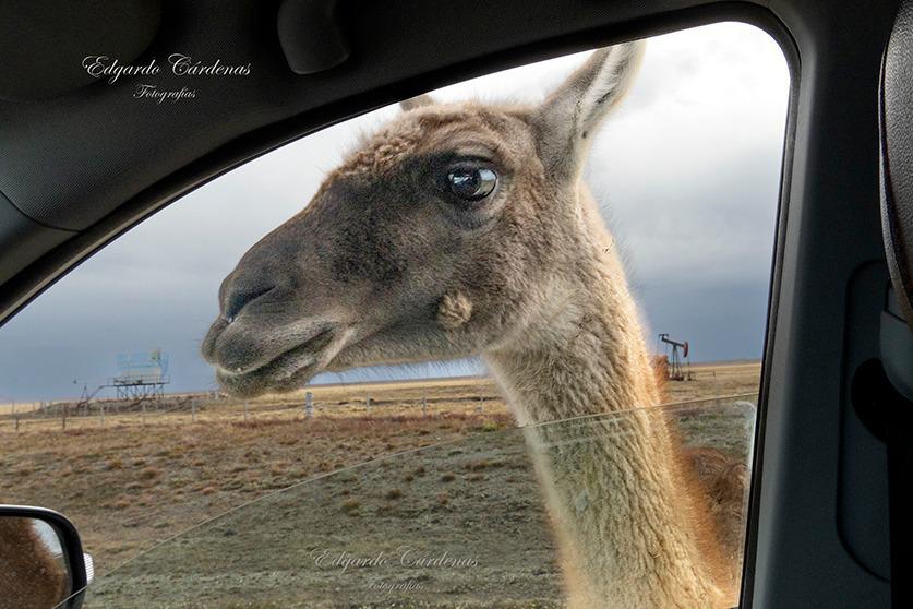 322701420_664247062048808_8736754875352236706_n