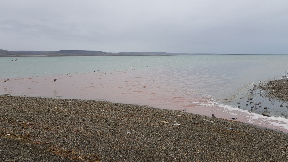 20190318_094951_resized