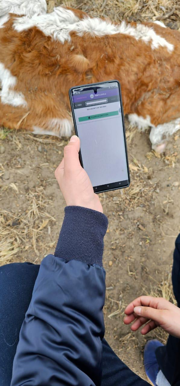 Seguimiento Perdidas (4)