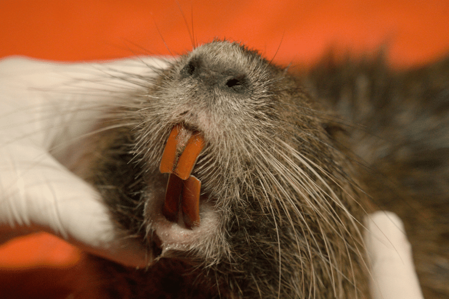 E2441DC1-3175-4025-9A1A-78C8BE657F20