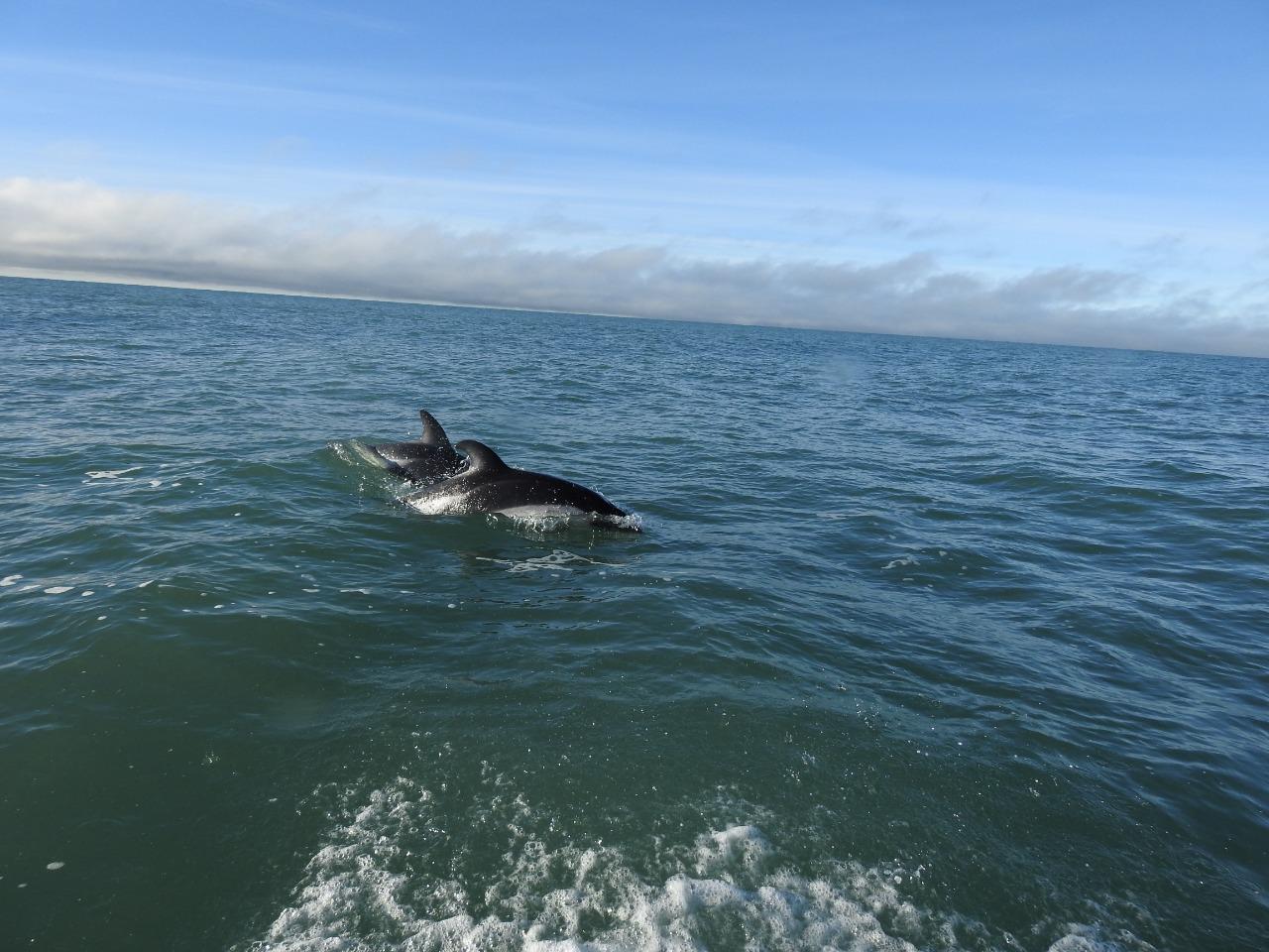 Imagen de WhatsApp 2022-11-22 a las 11.51.25