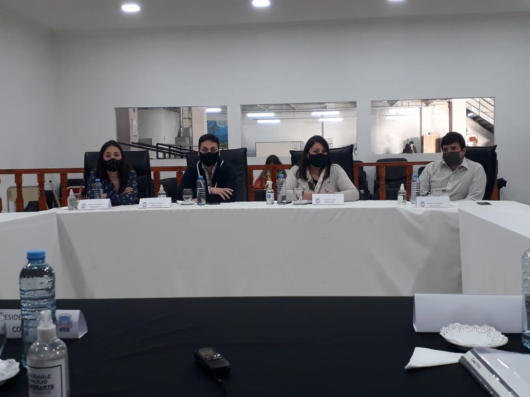 CCIARG - CONCEJO DELIBERANTE (3)