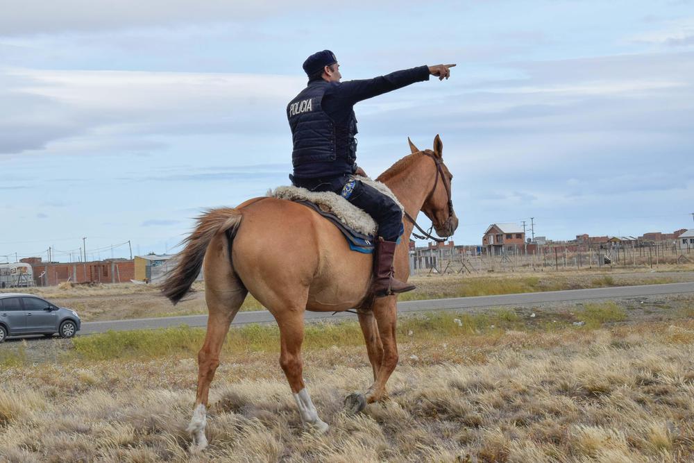 DES-ANIM_CABALLOS_01_02-8