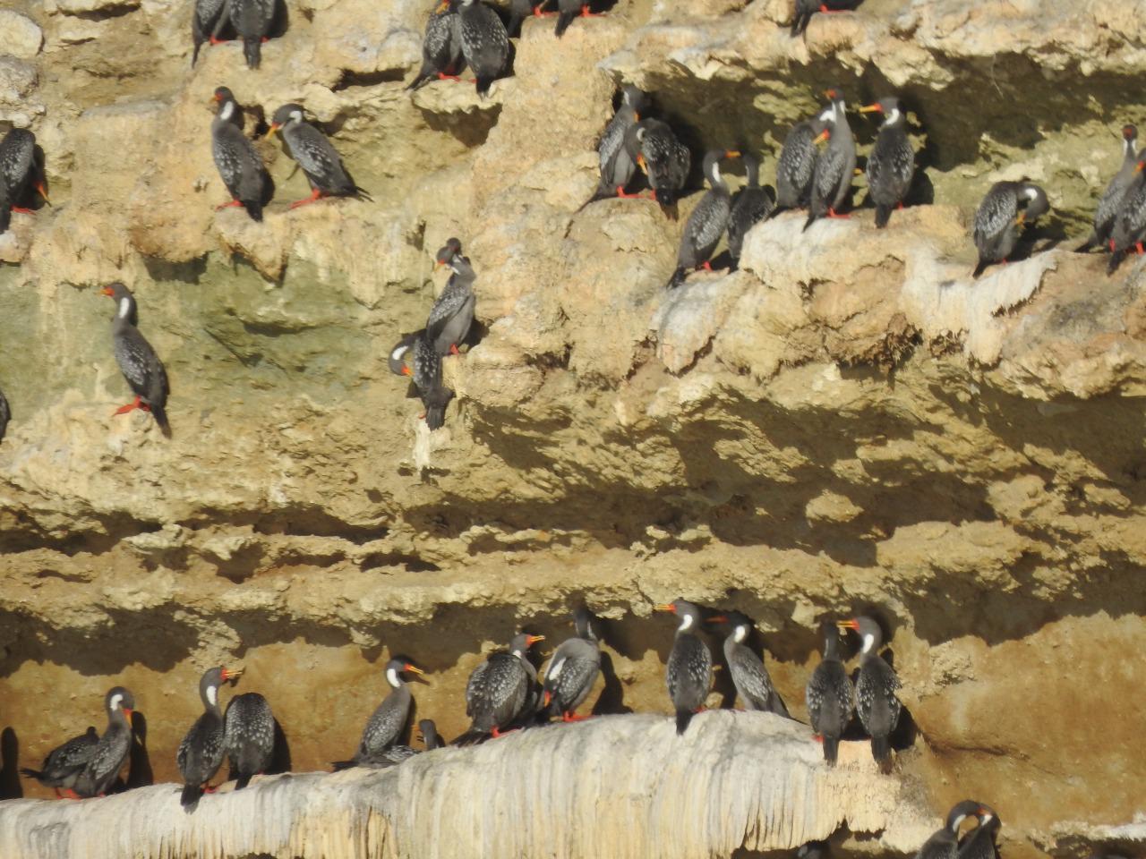 Imagen de WhatsApp 2022-11-22 a las 11.51.22