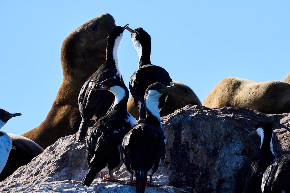 W-2023-03-18_-_Fan_Press_Puerto_Deseado_12