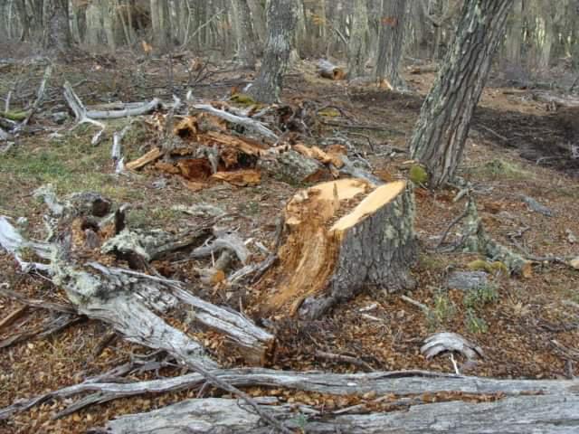 WhatsApp Image 2020-05-13 at 16.03.31