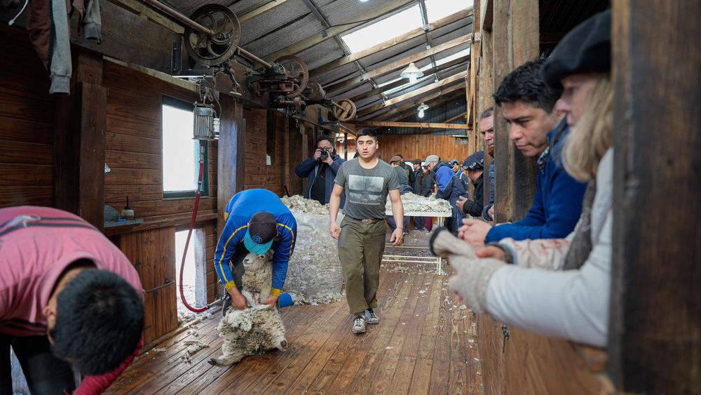 c6c71057-6366-440f-a5b6-b71c7c84bd15