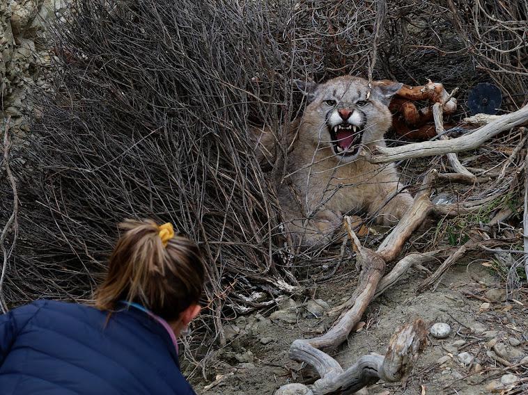 8 M 01INTERNACIONAL DE LA MUJER - CAROLINA CHIARA 03