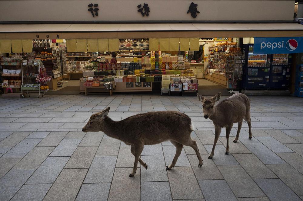 KZQNFSIZKJDBZF67NEQC4JHIUE