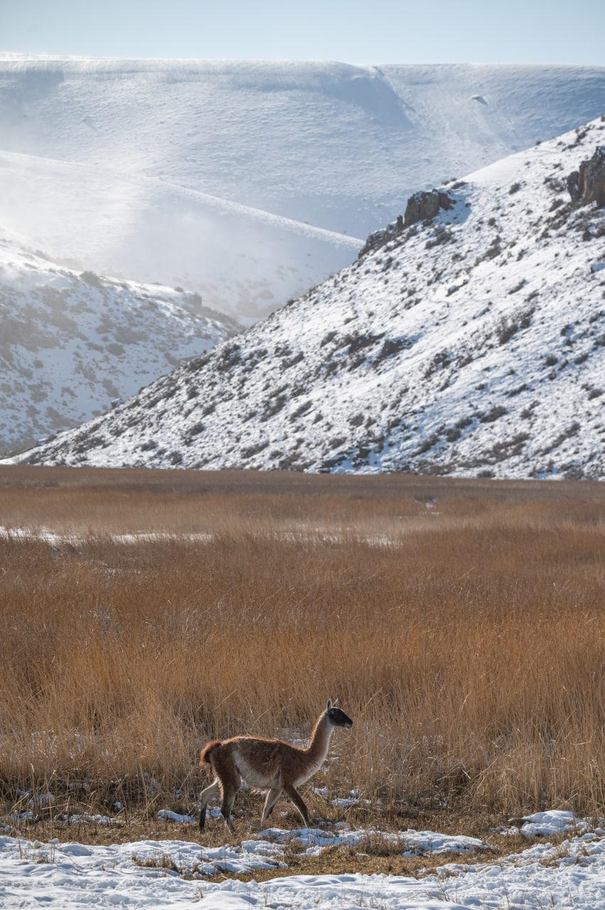 photo_2022-06-09_14-00-29