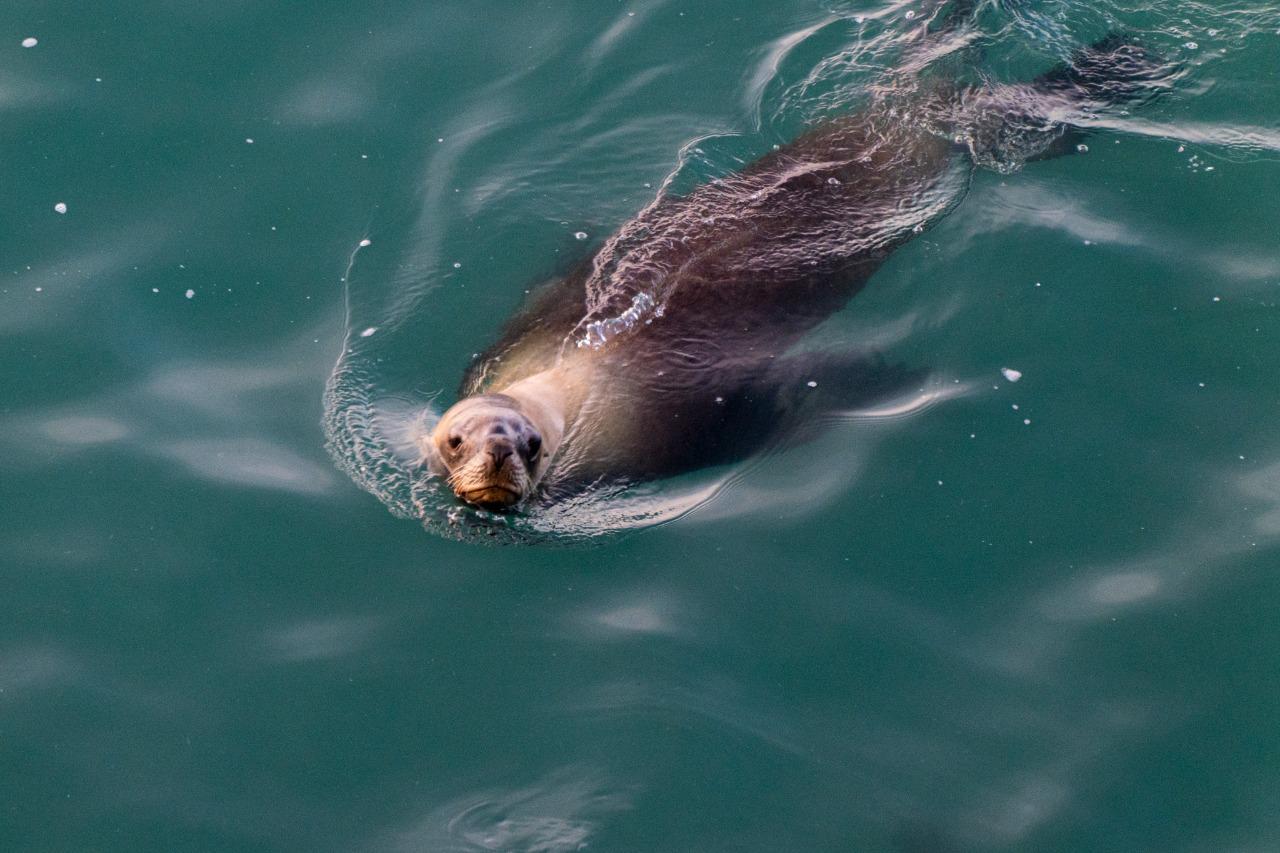 WhatsApp_Image_2022-05-06_at_2.29.36_PM_1