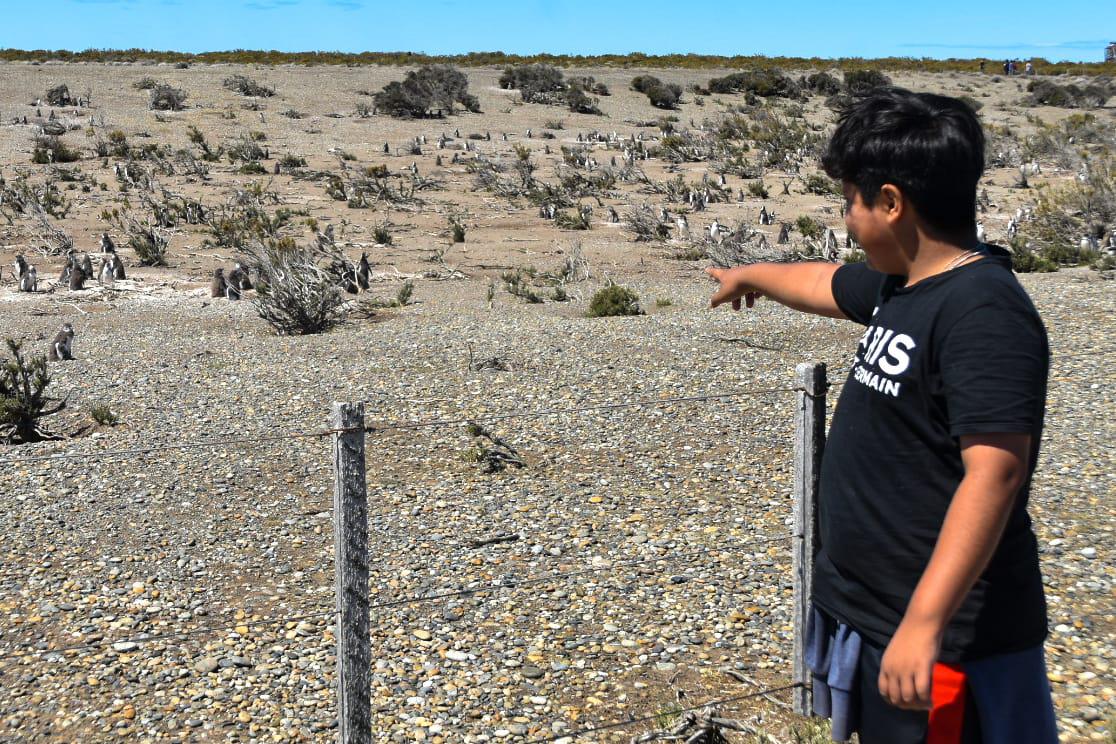 WhatsApp Image 2023-01-19 at 16.58.40 (1)