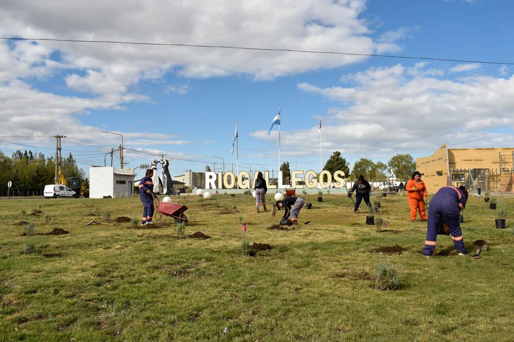 331120203_504922274928001_2062724976626359515_n