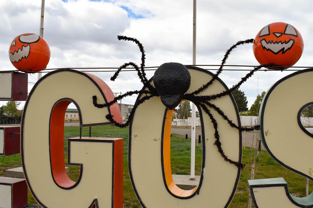 312181714_491322419694036_5849122489896550956_n