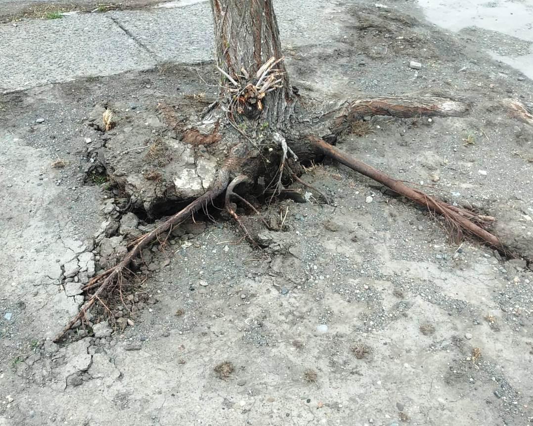 334227863_144567318483156_5932352948440110375_n