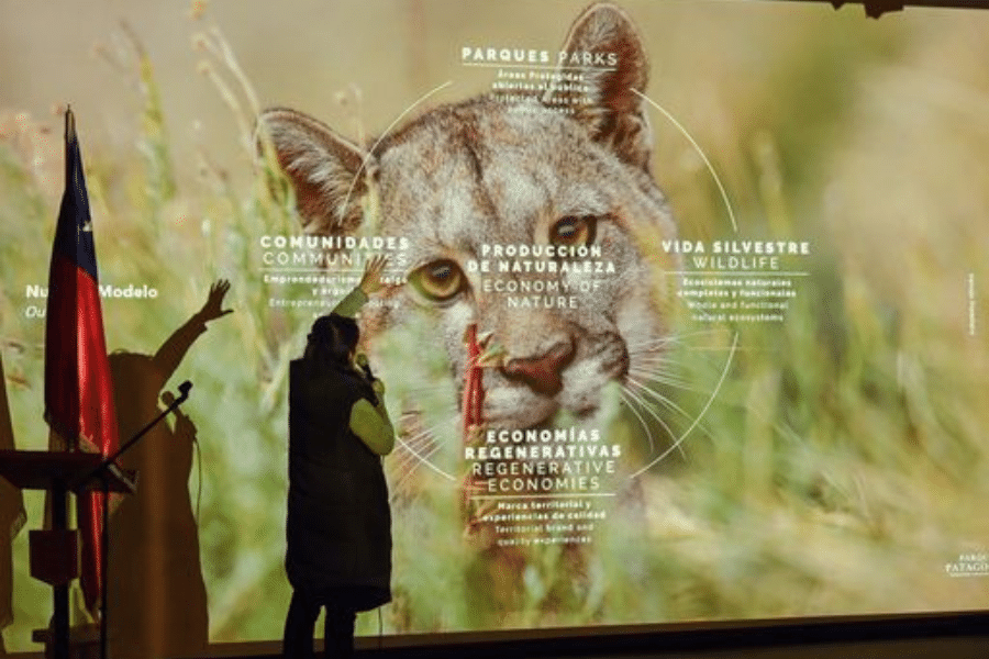 EL LAGO QUE NOS UNE 3