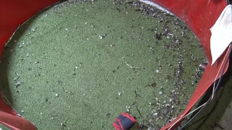 WhatsApp Image 2023-02-25 at 18.18.27