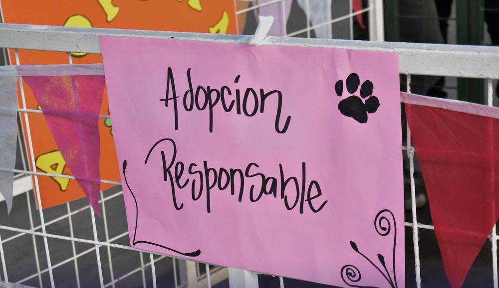 305964008_469820188510926_7148279971237994913_n