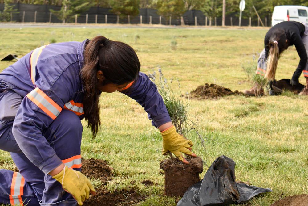 330921838_691867199400339_3500681593768924589_n