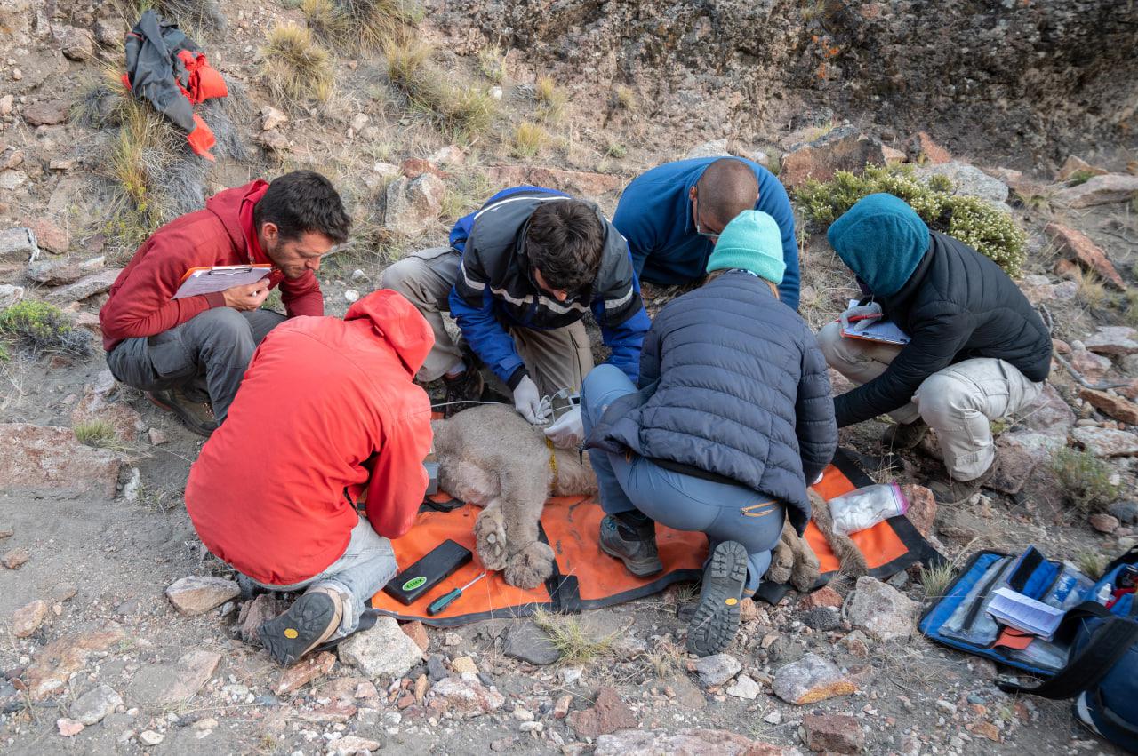 photo_2023-04-06_16-00-57 (1)