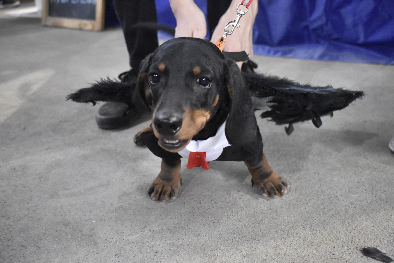 399923916_745977194228556_4720009400967156766_n