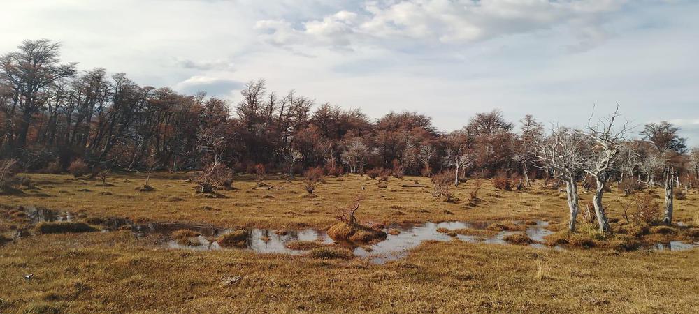 WhatsApp Image 2023-04-23 at 00.48.26