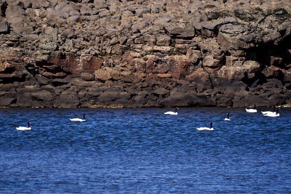 2023-03-24_-_Los_Antiguos_-_PN_Patagonia_58