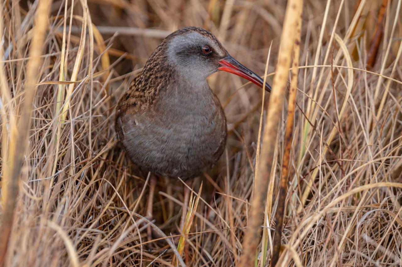 photo_2023-03-18_13-27-29
